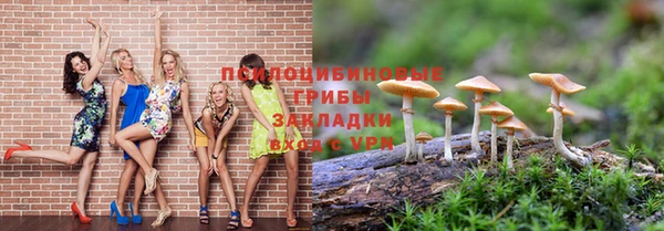 прущие крисы Беломорск