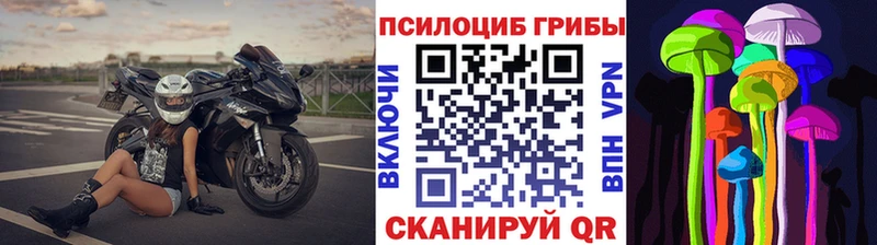 блэк спрут ТОР  Саяногорск  Галлюциногенные грибы MAGIC MUSHROOMS 