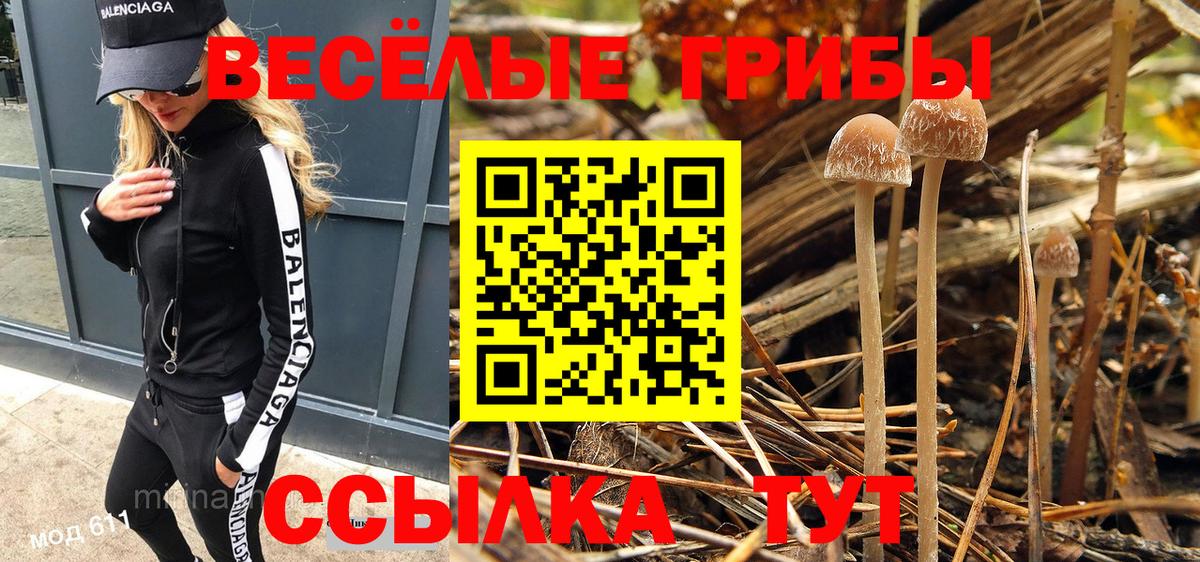 Галлюциногенные грибы ЛСД  Вход с VPN  Галлюциногенные грибы MAGIC MUSHROOMS  купить  сайты  Саяногорск 